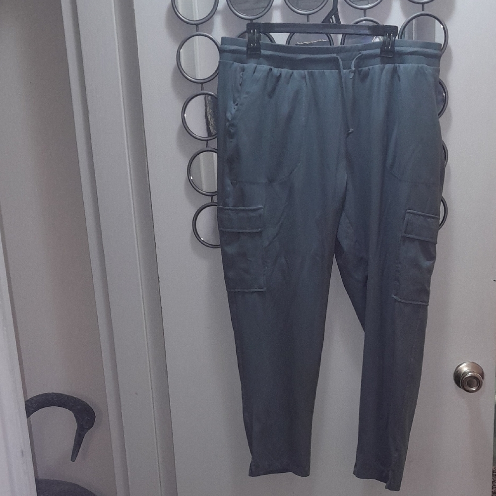 🌺RACHEL ZOE GREENISH TRACK Pants